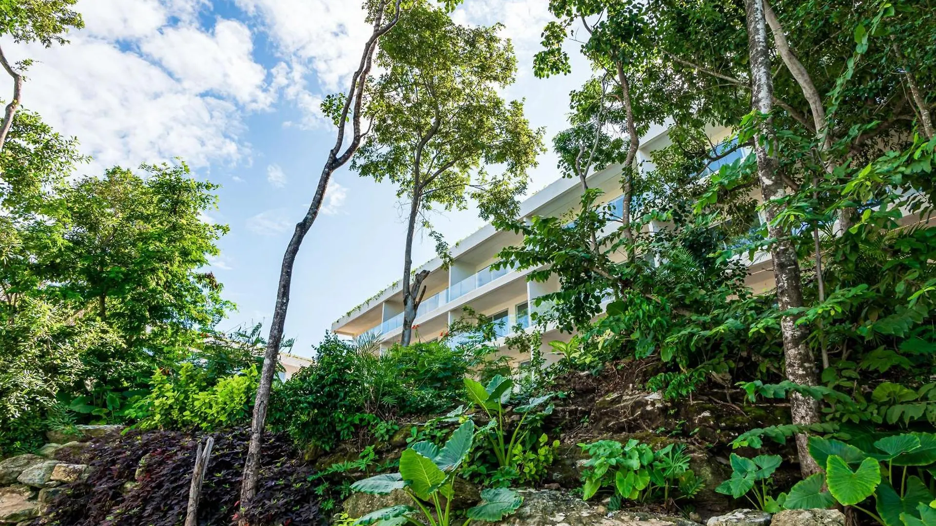 Natura One Bedroom Condo At Tl A203 신데 델 카르멘 0*,